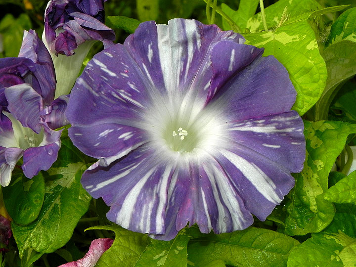 DSCN2226