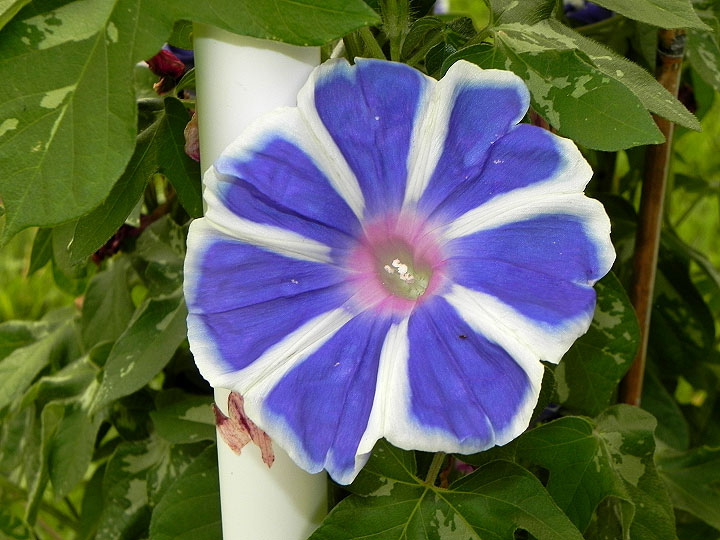 DSCN2242