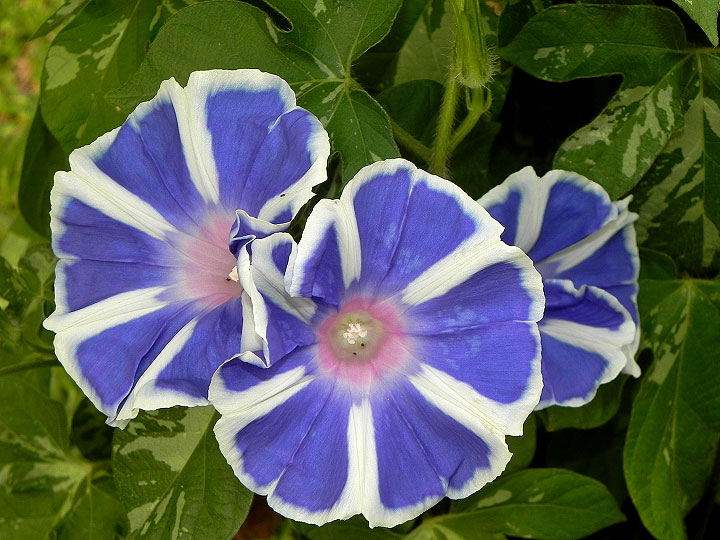 DSCN2244