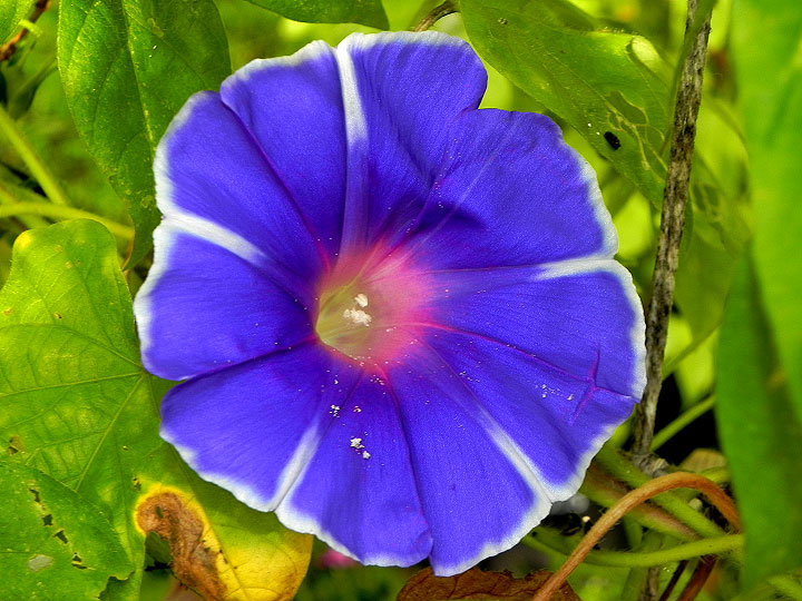 DSCN2266