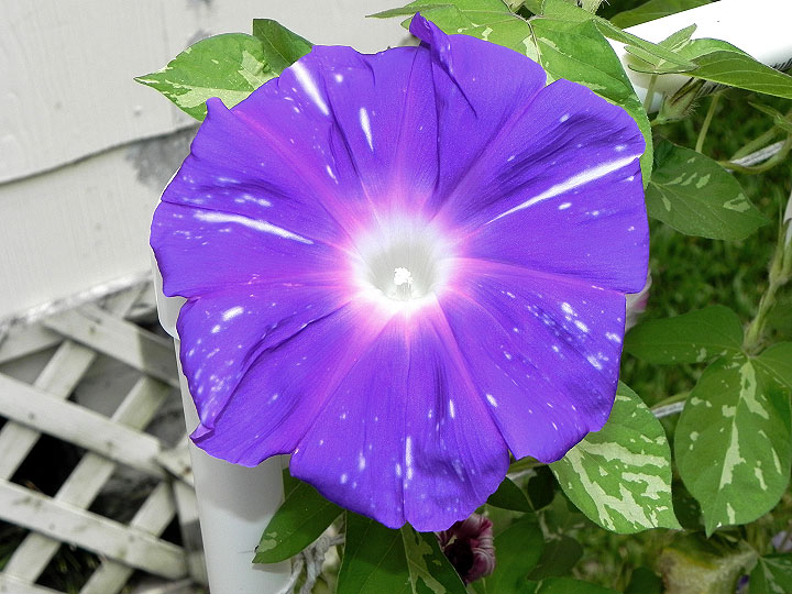 DSCN2283