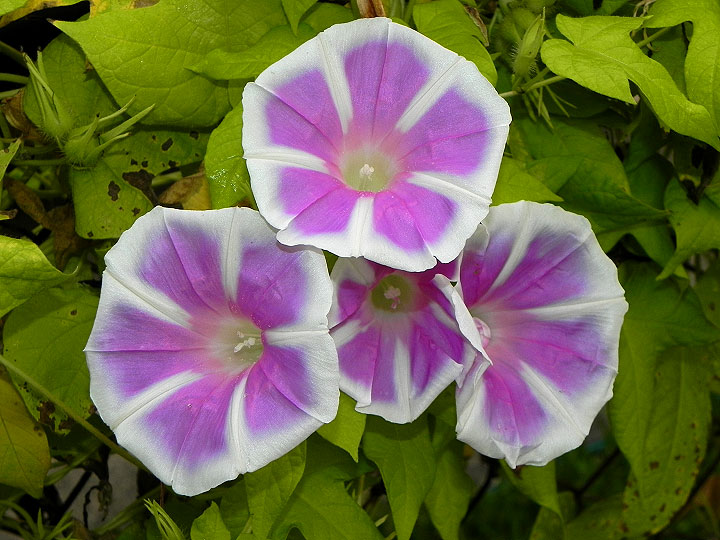 DSCN2285