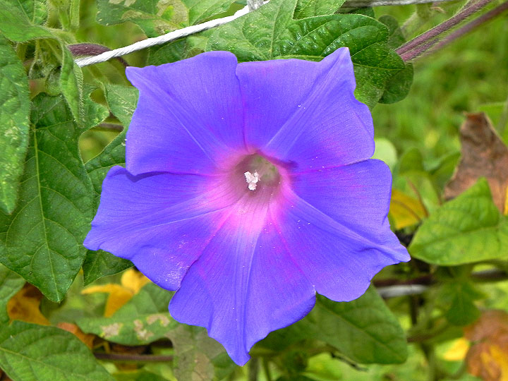 DSCN2312