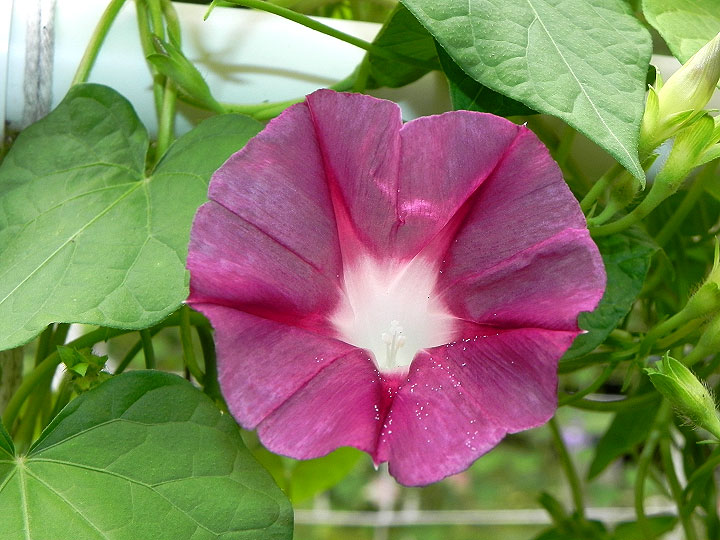 DSCN2327