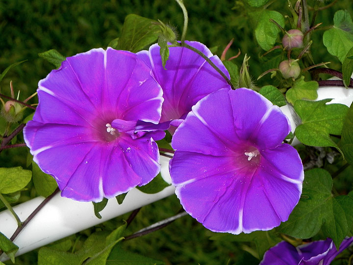 DSCN2330