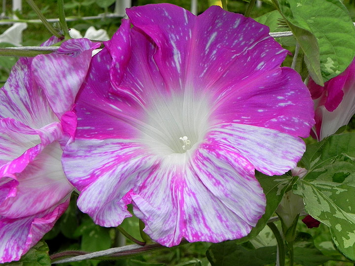 DSCN2330