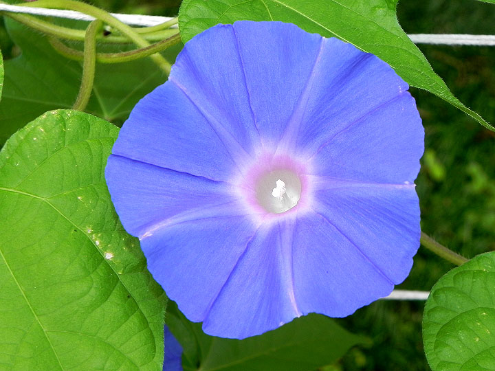 DSCN2402