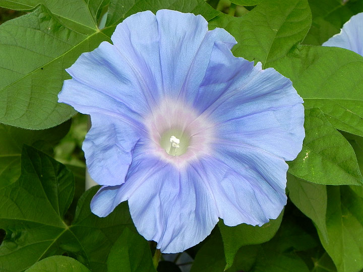 DSCN2407