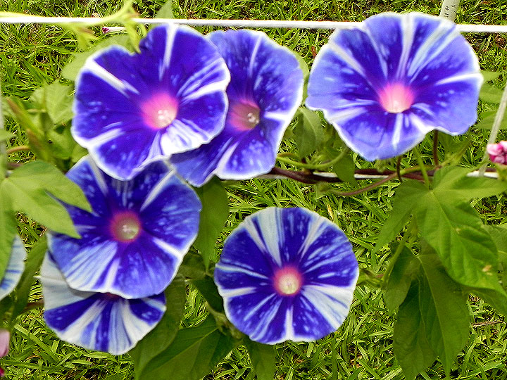 DSCN2423