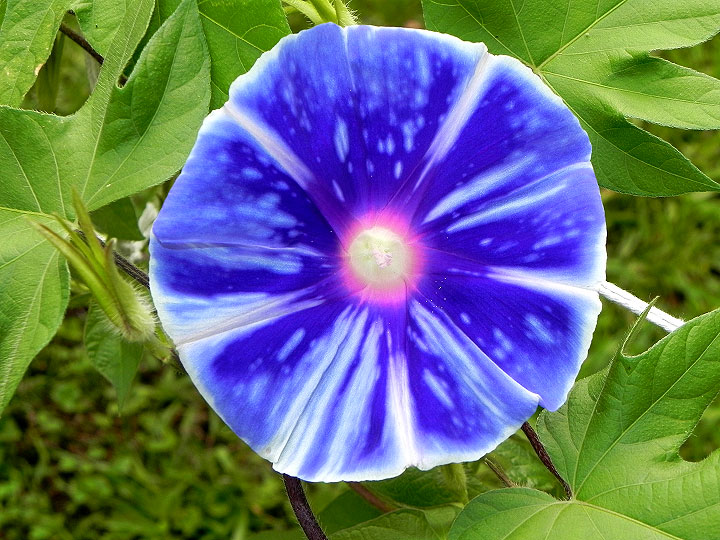 DSCN2424