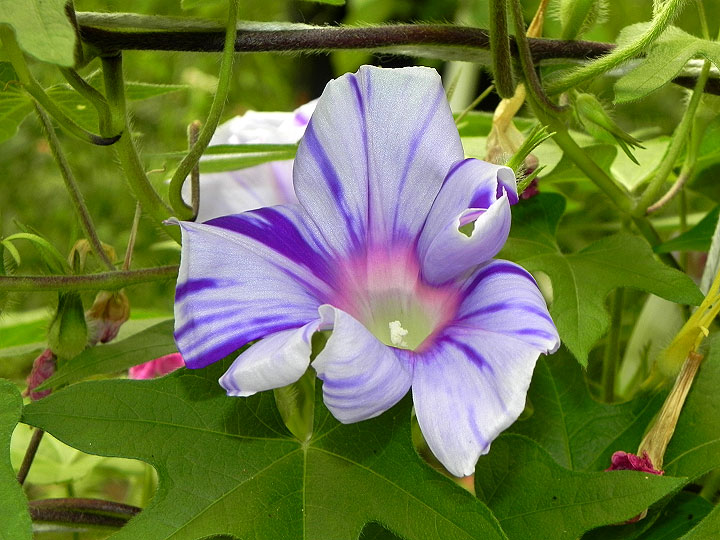 DSCN2438