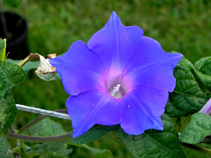DSCN2461