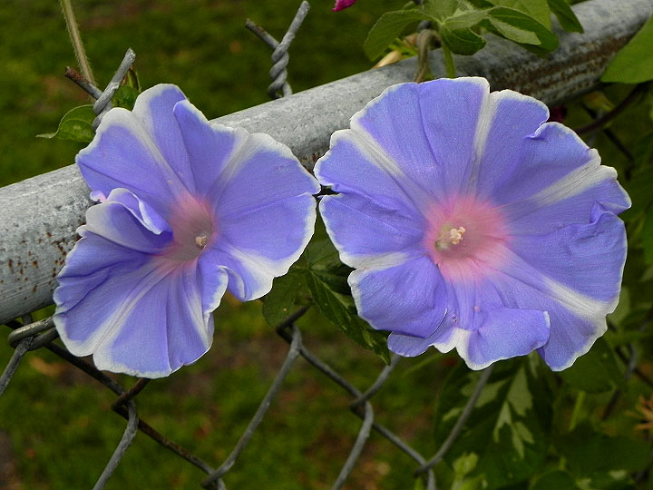 DSCN2558
