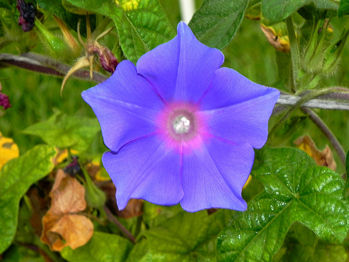 DSCN2580