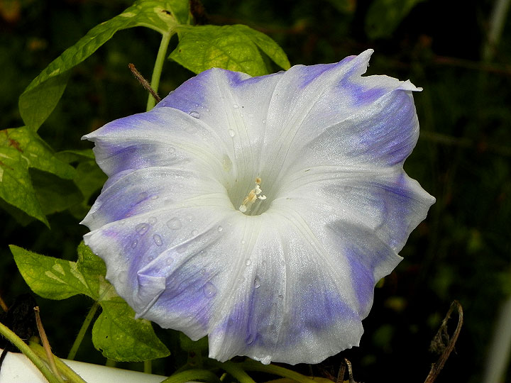 DSCN2614