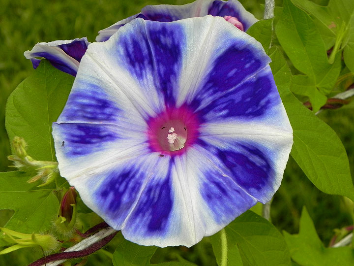 DSCN2627