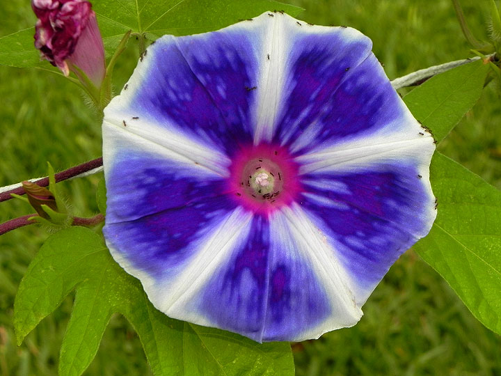 DSCN2628