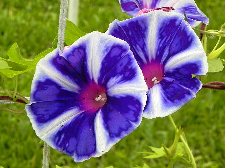 DSCN2633
