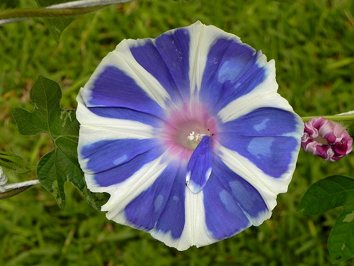 DSCN2642