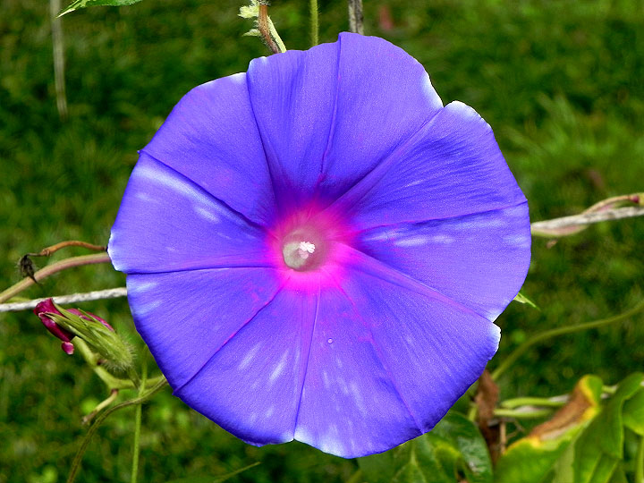 DSCN2647