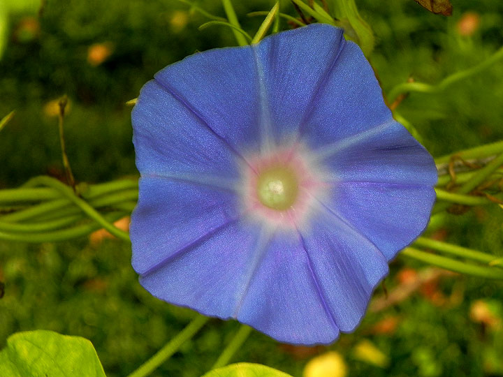 DSCN2650