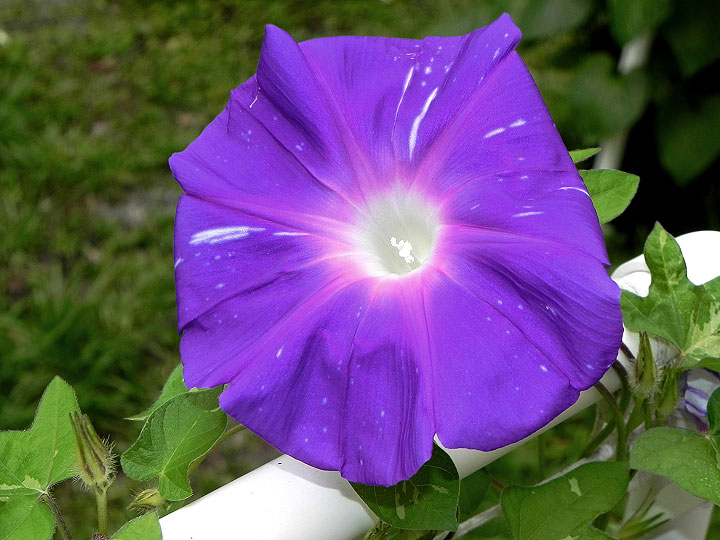 DSCN2651