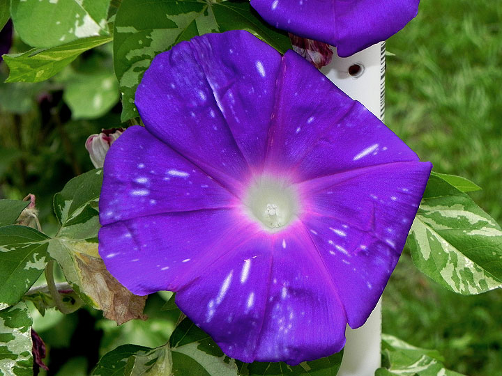 DSCN2652