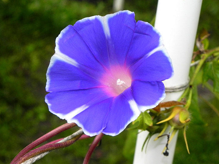 DSCN2672