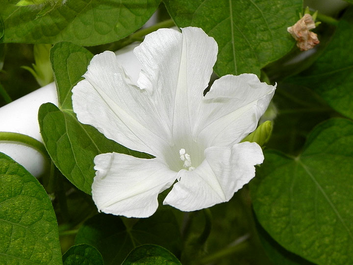 DSCN2722