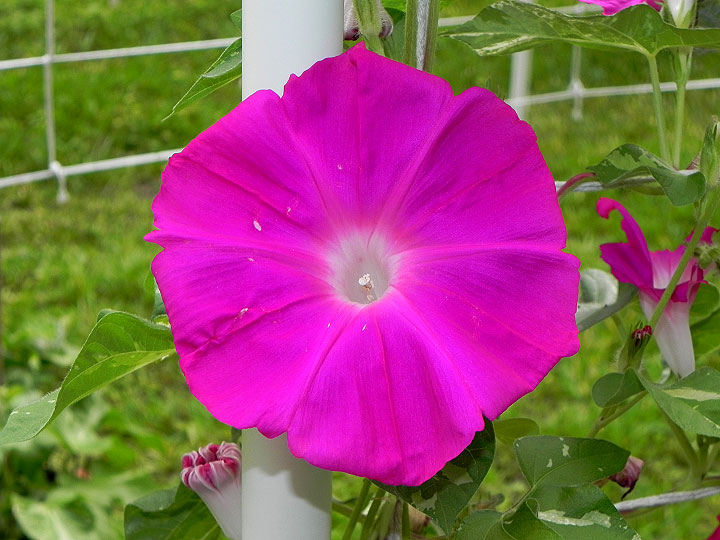 DSCN2740