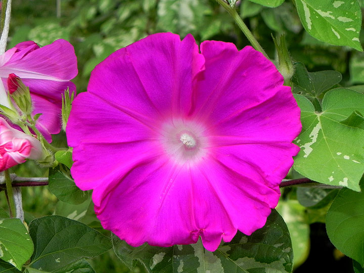 DSCN2742