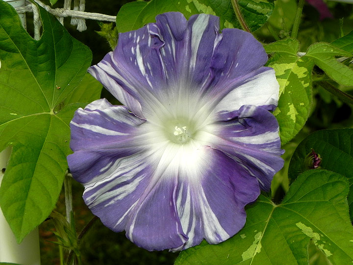 DSCN2756