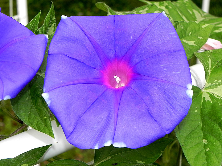 DSCN2763