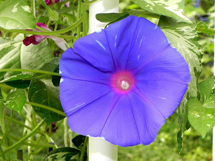 DSCN2764