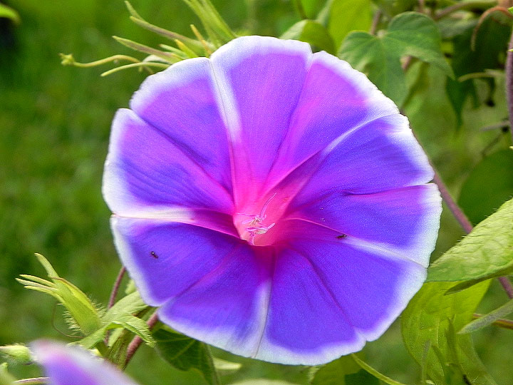 DSCN2783