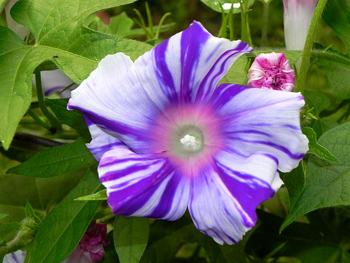 DSCN2790