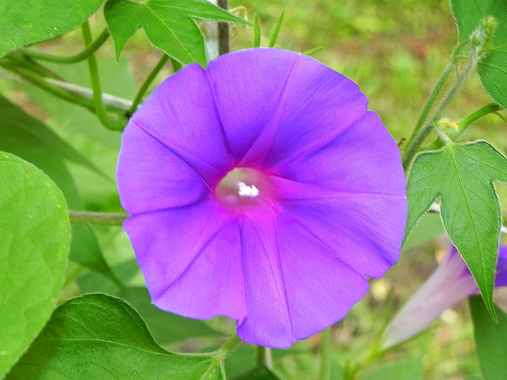 DSCN2804