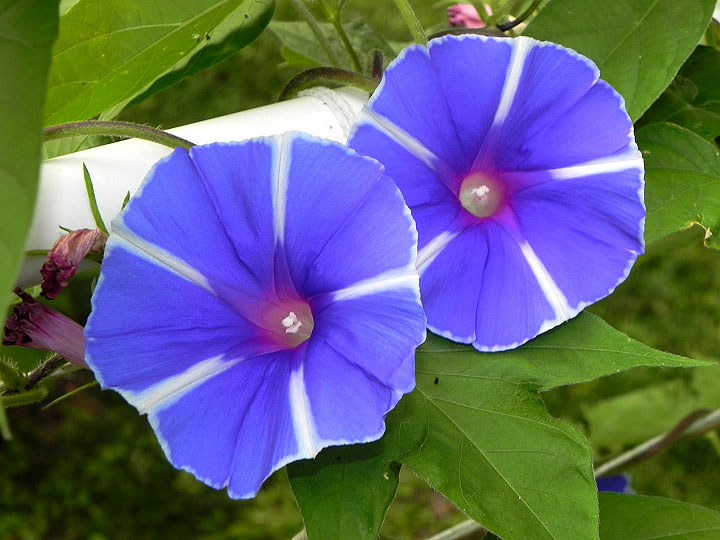DSCN2807
