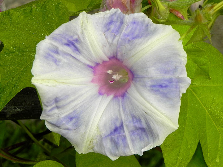 DSCN2838