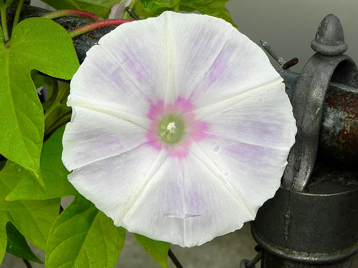 DSCN2846