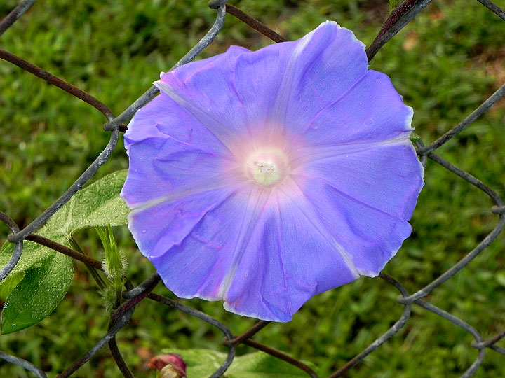 DSCN2865