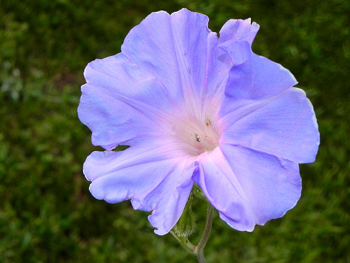 DSCN2867
