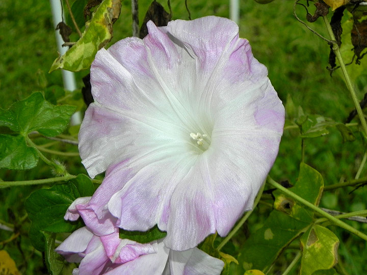 DSCN2873