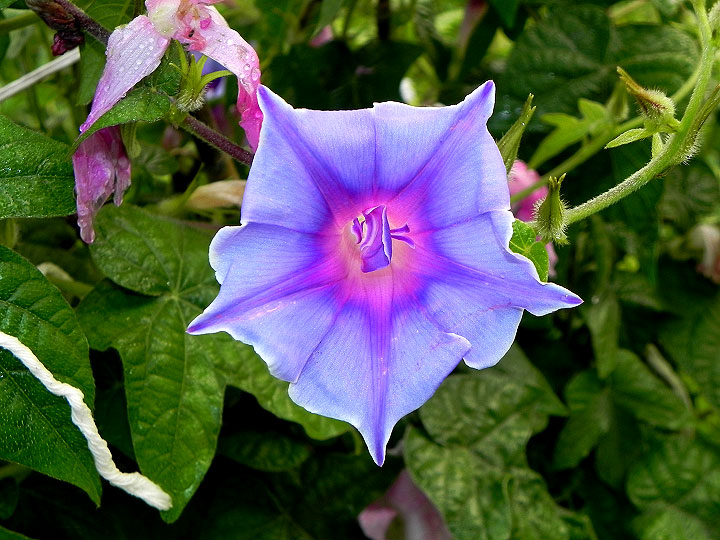 DSCN2880