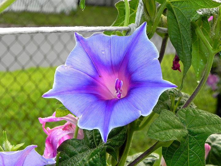 DSCN2881