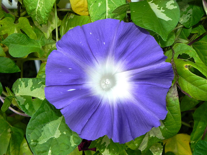 DSCN2905