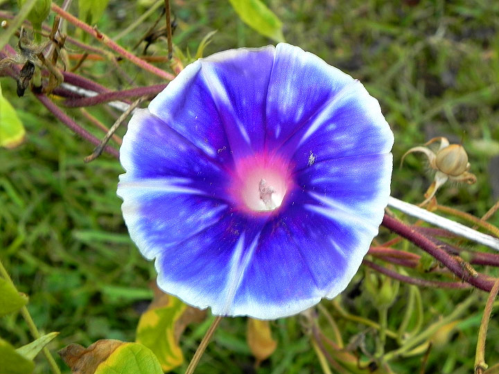 DSCN2916