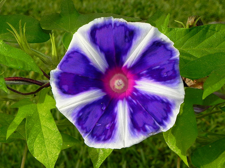 DSCN2923