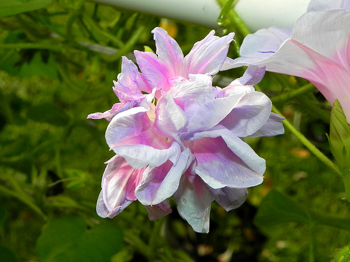 DSCN2956