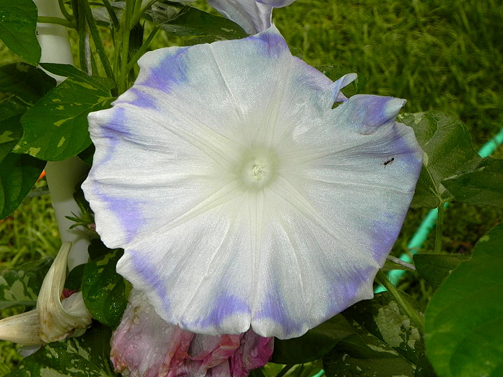 DSCN2961